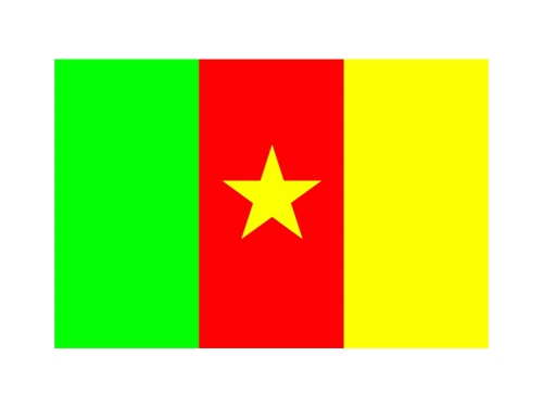 Kamerun vlajka